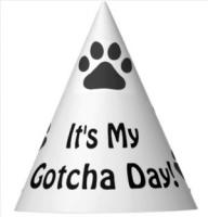 a gotcha day hat